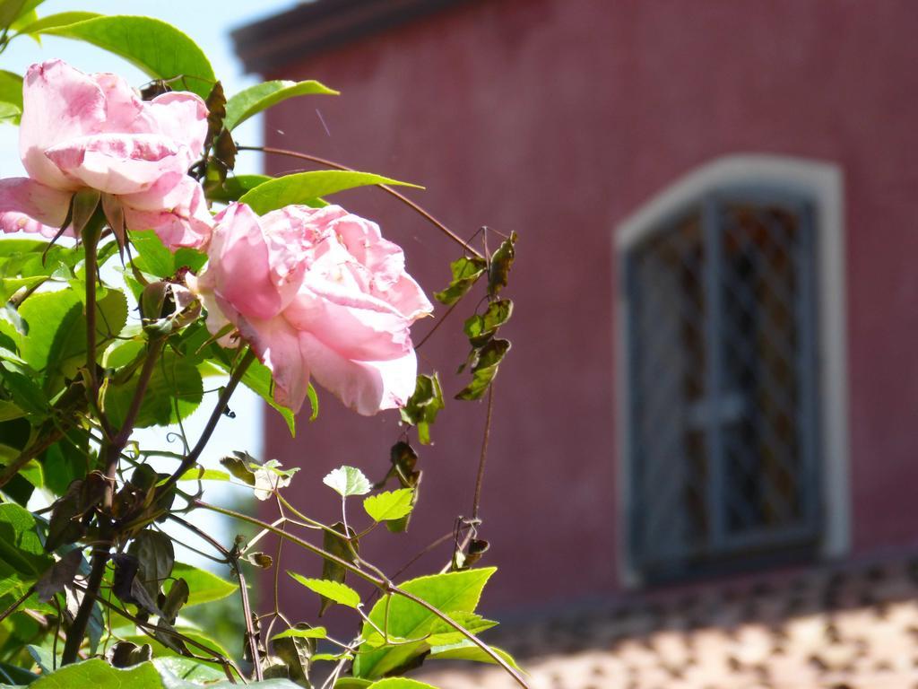 L'Orto Dei Semplici Pension Mascali Buitenkant foto